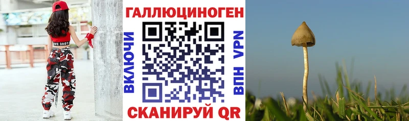 где можно купить   Луга  Псилоцибиновые грибы Cubensis 